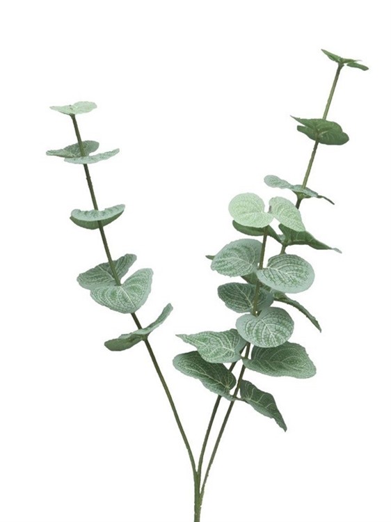 60cm