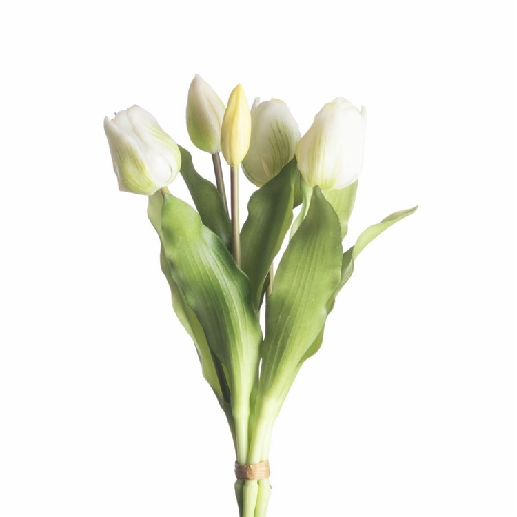 31 cm