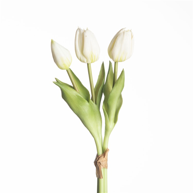 30 cm