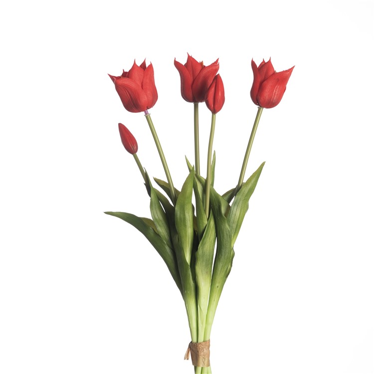 45 cm