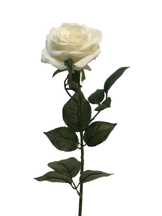 64cm