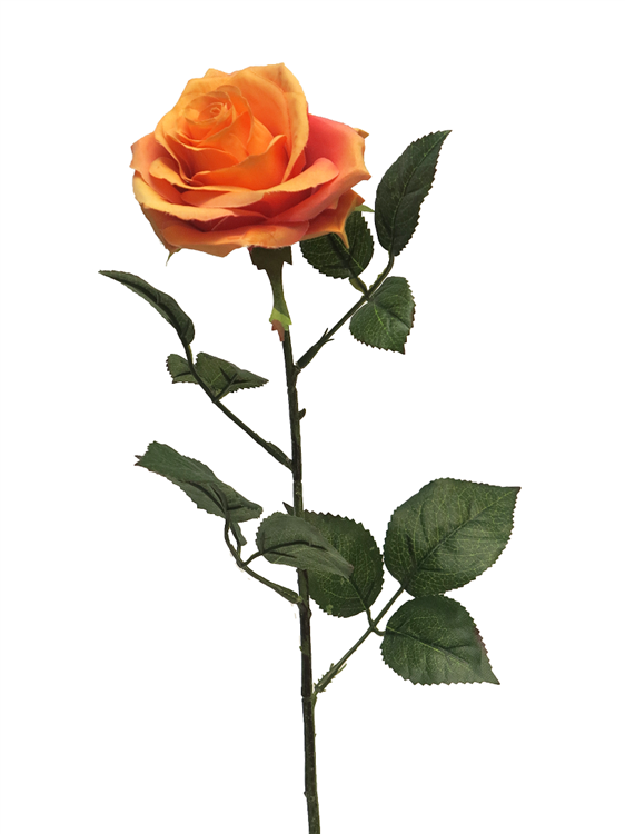 64 cm