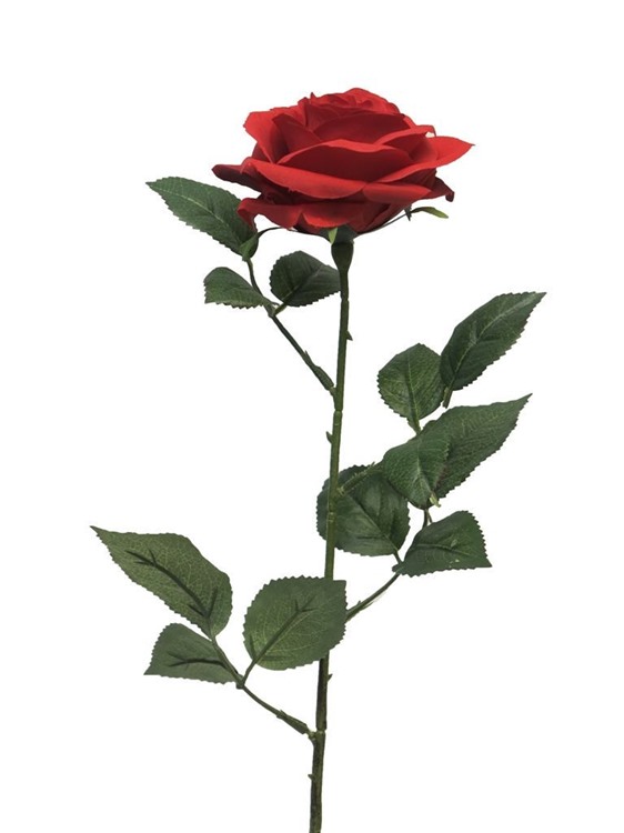 64cm