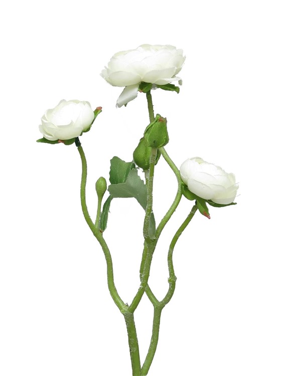 48cm